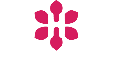 Developer Logo